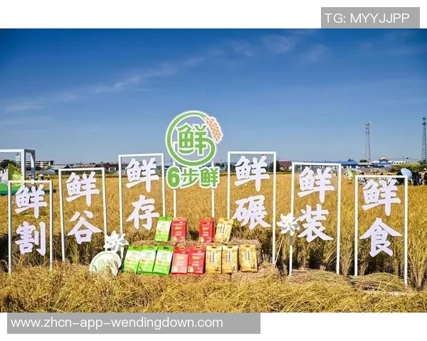 问鼎H5-问鼎移动互联网新时代，深入探究H5技术-问鼎H5