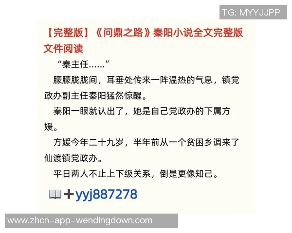问鼎28-问鼎之路，走向成功的新纪元（问鼎第28期专题报道）问鼎28