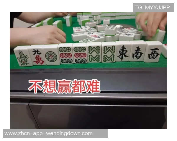 pg麻将胡了2模拟器问鼎-揭秘PG麻将胡了2模拟器，问鼎虚拟牌场之巅-pg麻将胡了2模拟器问鼎